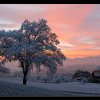 20071226_002
